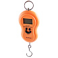 Кантер 603L, 50 кг (10г)