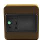 Часы сетевые VST-872-4, зеленые, (корпус коричневый) температура, USB