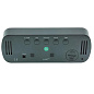Часы сетевые VST-895Y-4, зеленые, температура, USB